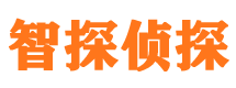 射阳市调查取证